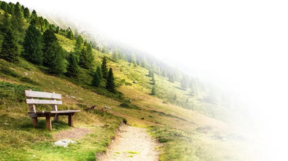Ein Wanderweg mit Bäumen und einer Bank