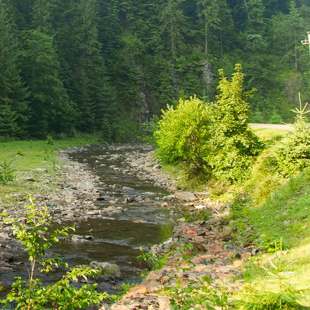Schöne Natur bei einer Wanderung